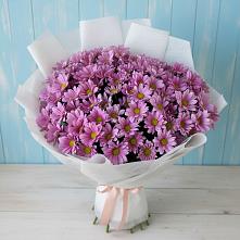 Букет цветов из:  Хризантемы в Ключах