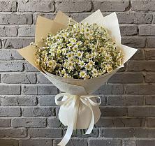Букет цветов из:  Ромашки в Ключах