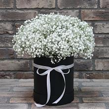 Цветочная композиция из Гипсофила в шляпной коробке в Ключах